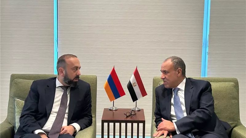 وزير الخارجية يبحث مع نظيره الأرميني توسيع مجالات الشراكة الاقتصادية والاستثمارية
