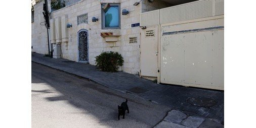 فصائل فلسطينية تتفق في القاهرة على تأجيل الانتخابات تمهيداً لعقد حوار وطني شامل