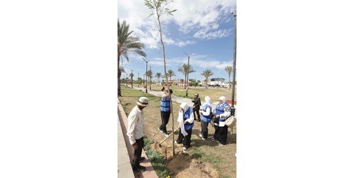 وزيرة التنمية المحلية تُعلن بدء توريد وزراعة 1000 شجرة بمحافظة بورسعيد وتوجه بالتوسع في تشجير المدارس والطرق والمحاور الرئيسية