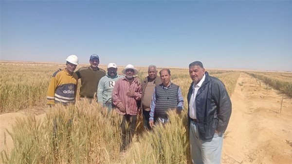 الزراعة في ذكرى أكتوبر: «بحوث الصحراء» تنفذ حزمة مشروعات لدعم التنمية في سيناء