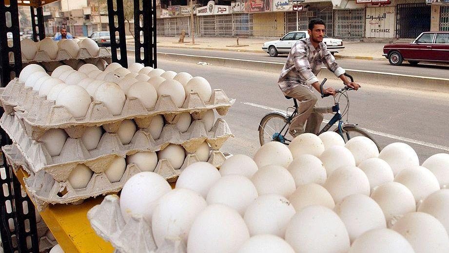 كيف تناول مستخدمو مواقع التواصل الاجتماعي "أزمة البيض" في العراق؟