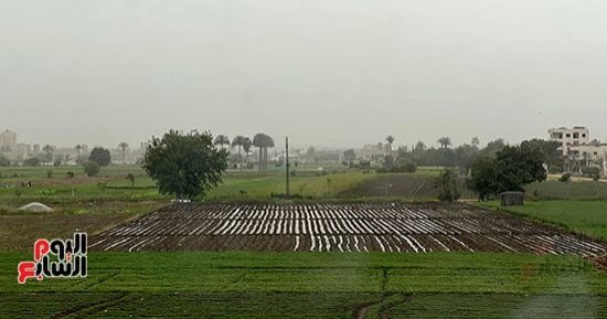 كيف نجح قانون تنمية المشروعات فى قيادة قاطرة دمج الاقتصاد غير الرسمي بمصر؟