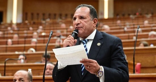شئون عربية النواب: كلمة الرئيس فى العلمين وضعت خارطة طريق للتكامل الأفريقى