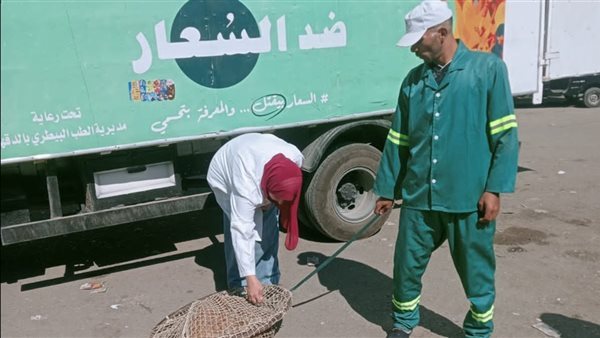 محافظ الدقهلية يتابع حملات مواجهة الكلاب الضالة في بلقاس