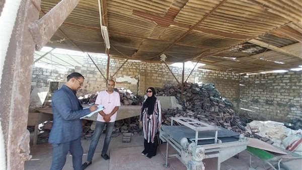 "العمل" تنفذ حملات تفتيشية على منشآت المنطقة الصناعية بالوادي الجديد