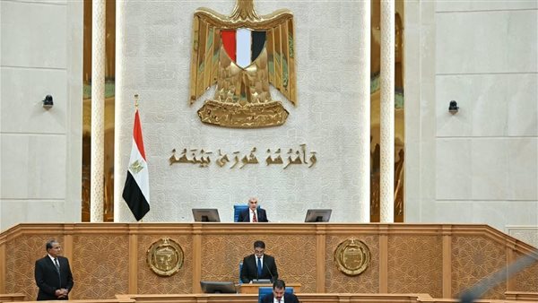بعد فتح باب تعديل رغبات الانضمام، موعد إعادة تشكيل اللجان النوعية بمجلس الشيوخ