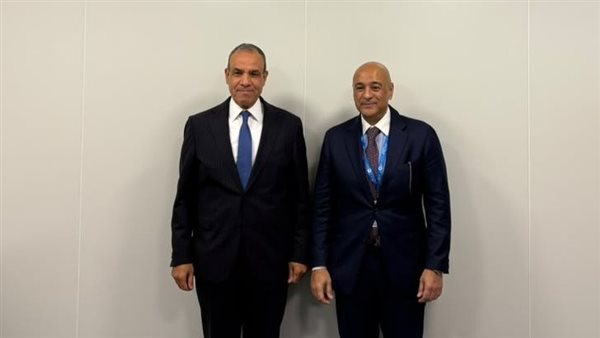 وزير الخارجية: أمن دول الخليج جزء لا يتجزأ من الأمن القومي المصرى