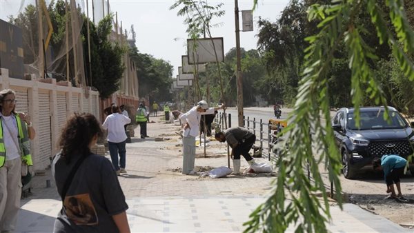 220 شجرة جديدة في المعادي، تعرف على أنواعها ومواقع زراعتها