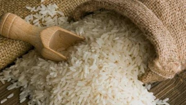 الإحصاء يكشف تطور إنتاج الأرز في مصر.. ونصيب الفرد يسجل 38 كجم سنويًا