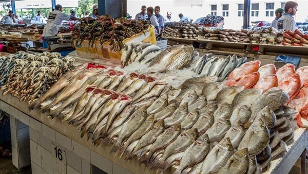 أسعار الأسماك اليوم، قفزة غير مسبوقة تضرب 8 أصناف منها البلطي والكابوريا والبوري