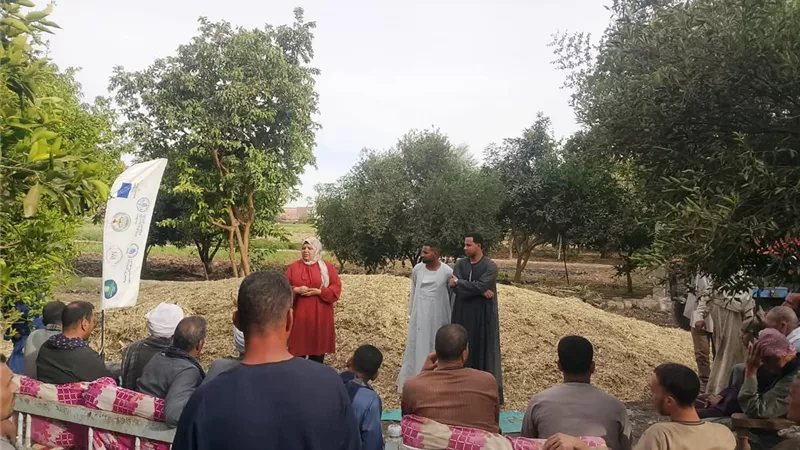 تدوير المخلفات الزراعية يفتح آفاق الاقتصاد الأخضر ويوفر فرص عمل جديدة بالصعيد