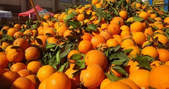 لو عندك خمول.. 5 فواكه يمكنها رفع طاقتك بسرعة