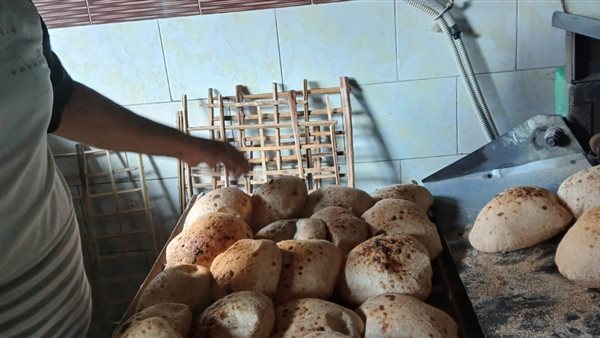 ضبط 115 مخالفة تموينية خلال حملة مكبرة في الإسماعيلية
