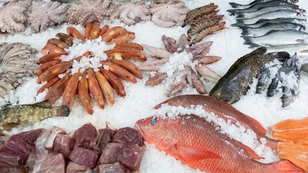 أسعار الأسماك اليوم، انخفاض الكابوريا 20 جنيها وارتفاع البلطي والجمبري