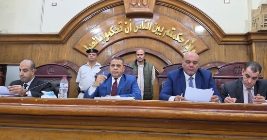 تأجيل محاكمة المتهم بإشعال النيران فى سائق توك توك بالشرقية لجلسة 12 ديسمبر