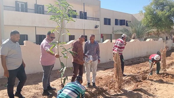 مبادرة «اطلب شجرة» تفتح أبواب التشجير أمام مواطني الداخلة بالوادي الجديد