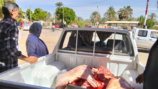 ضبط 154 كيلو لحوم غير صالحة في حملة تموينية بالوادي الجديد