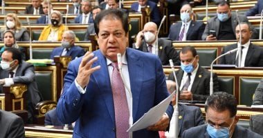 أبوالعينين: اعتراض الرئيس على المادة 25 من قانون جامعة كيان يحقق المساواة
