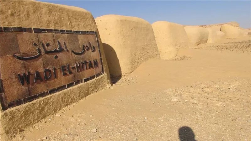 رحلة إلى وادي الحيتان، كنز عمره 40 مليون سنة في قلب صحراء الفيوم