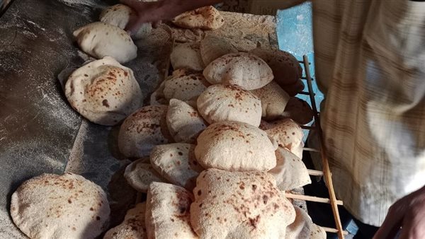 خبز ناقص الوزن وسجائر بأزيد من التسعيرة، تموين الإسماعيلية يضبط 91 مخالفة