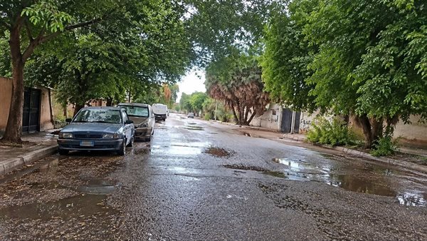 في عز الحر، هطول الأمطار على عدة مناطق في قنا والمحافظة ترفع درجة الاستعداد (فيديو)