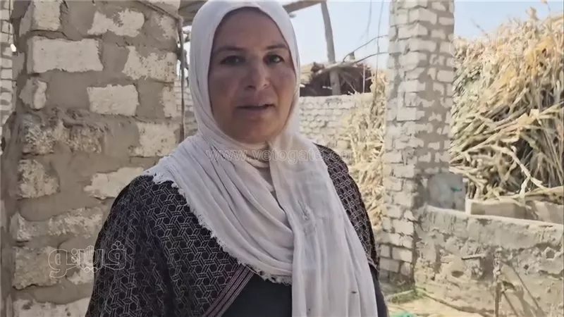 الزوجة الأصيلة رزق، حكاية سناء بخيت من إيد شقيانة إلى مشروع إنتاج الأعلاف لمساعدة زوجها (فيديو)