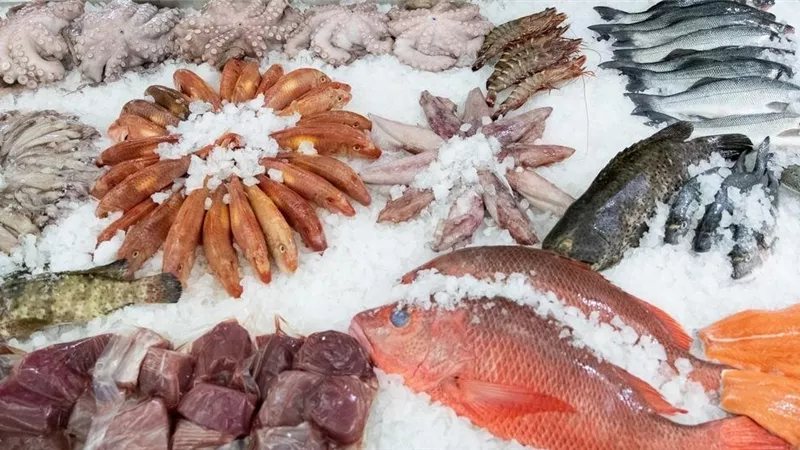 أسعار الأسماك اليوم، البلطي يسجل 85 جنيها وانخفاض الكابوريا والبوري والجمبري