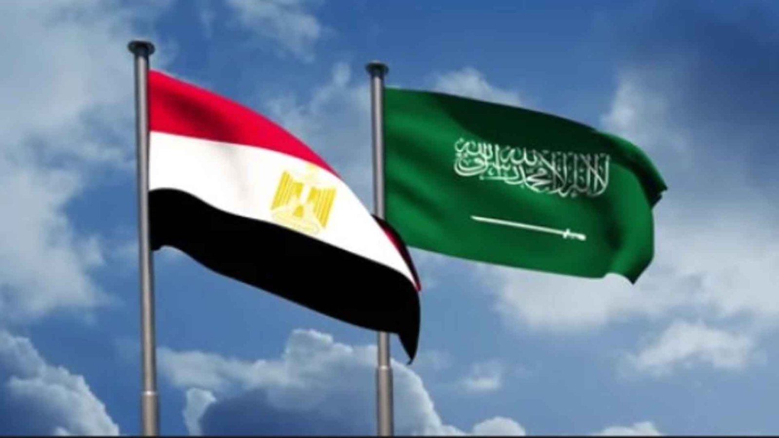 مجلس الدفاع الوطني المصري يقرر “الوقوف التام وتقديم كل الدعم” للسعودية