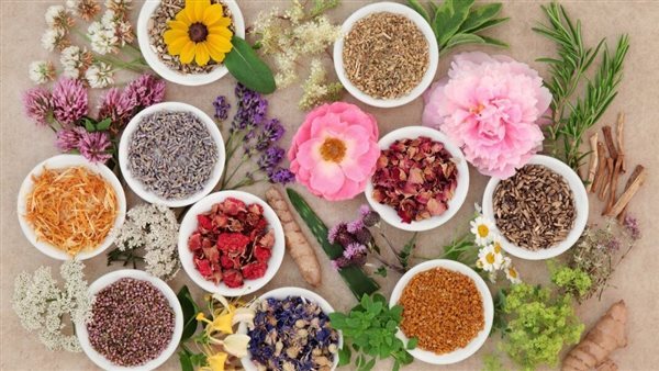 أعشاب طبيعية تناولها مساءً للنوم الهادئ والتخلص من الأرق