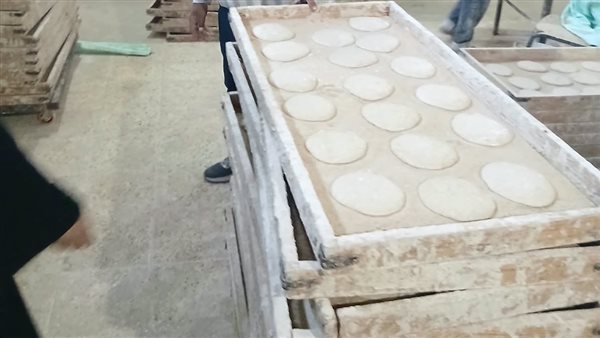 تحرير 845 محضرًا تموينيًا بالمنوفية خلال أسبوع وضبط نصف طن دقيق مدعم