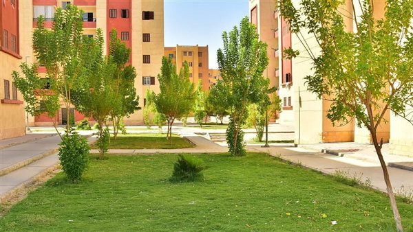من بني سويف إلى طيبة.. تحرك حكومي لرفع كفاءة مدن الصعيد الجديدة