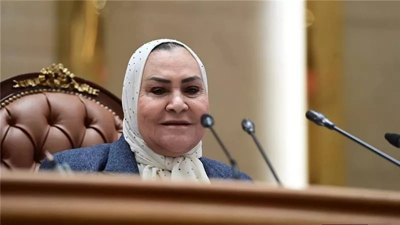 نائبة تكشف موعد صدور قانون صندوق دعم الأسرة من البرلمان