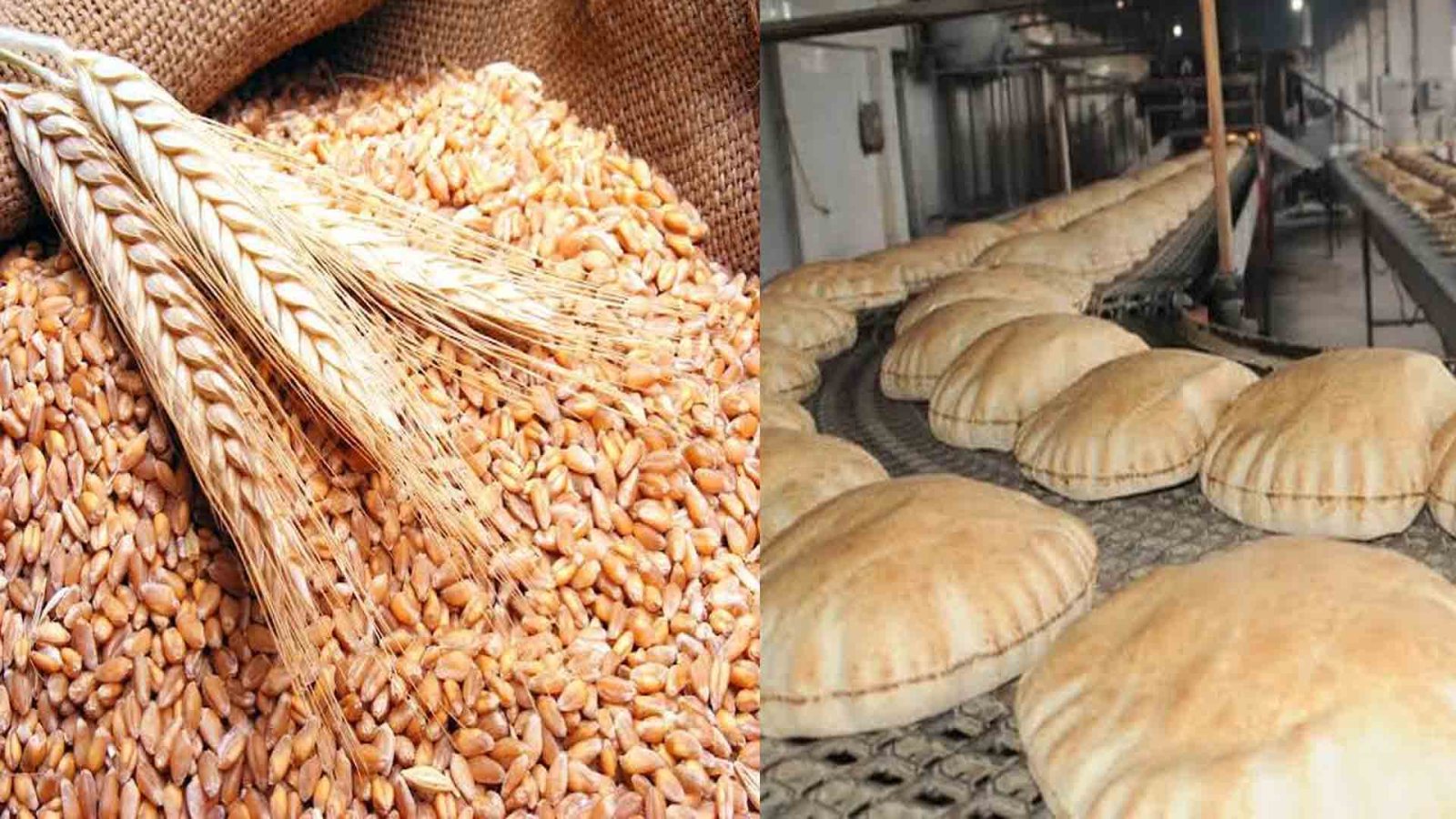 دعم الخبز والقمح 600 مليون دولار للصناعة.. ورهان على 600 ألف طن تخزين إضافي