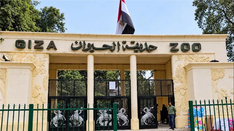 افتتاح حديقة الحيوان بالجيزة، مصادر تكشف لـ"فيتو" الموعد الجديد وتوضح حقيقة قطع الأشجار
