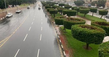 "دفاق" جنوب مكة المكرمة.. الأمطار ترسم لوحة خضراء وتستقطب المتنزهين