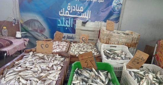 طرح أكثر من 880 كيلو أسماك بأسعار مخفضة بمنافذ التموين فى السويس