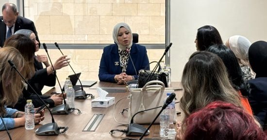 سيطرة نسائية على إعلام النواب.. رهام فاروق رئيسًا.. وضحا عاصى أمينا للسر