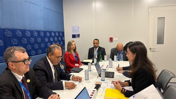 وزير الخارجية يلتقي النائب الأول لرئيس وكالة التعاون الدولي اليابانية "جايكا"