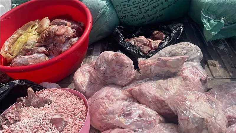 التحفظ على طن دواجن مجهولة المصدر ومتغيرة الخواص داخل مخزن بالعبور