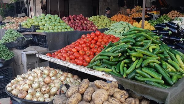 سعر الخضار اليوم، ارتفاع 6 أصناف منهم البطاطس والخيار والبصل واستقرار الطماطم