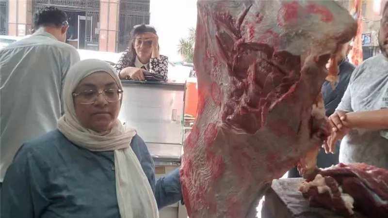 تموين وبيطري المنيا يضبطان 258 كيلو لحوم فاسدة ومذبوحة خارج المجازر