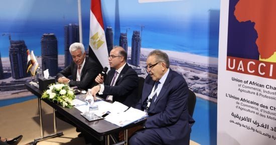 أحمد الوكيل: الإعلان عن خارطة طريق لتحويل التكامل الأفريقي إلى تجارة واستثمارات