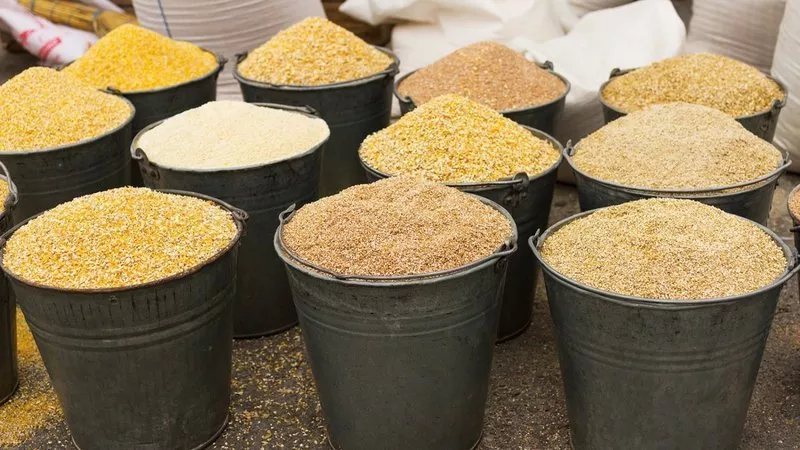 ارتفاع الذرة والصويا والردة، أسعار الأعلاف والحبوب اليوم في الأسواق