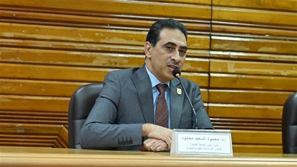 نائب رئيس جامعة القاهرة يحذر من مخاطر الاستخدام غير المسؤول للذكاء الاصطناعي في البحث العلمي