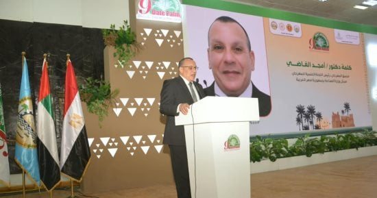 مناقشات لتطوير سلاسل القيمة وتعزيز تنافسية صادرات التمور