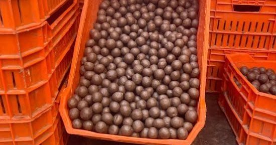 ضبط طن مستخلص بذرة قطن و760 كيلو شيكولاتة مجهولة المصدر بالفيوم