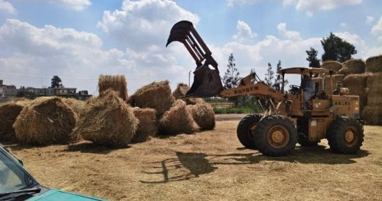 الشرقية تجمع 146 ألف طن من قش الأرز وتشغل 232 موقعا للقضاء على السحابة السوداء