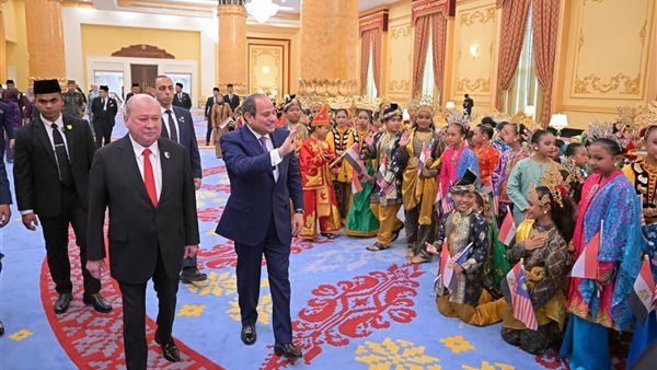 18 بندًا، نص البيان المشترك بين مصر وماليزيا