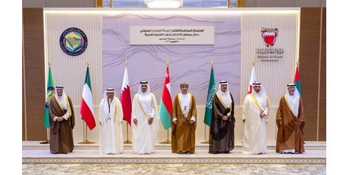 الرومي: دعم أمن إمدادات الطاقة واستدامتها