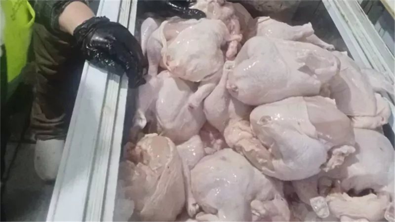 ضبط 700 كيلو دواجن مجهولة المصدر في كفر شكر بالقليوبية